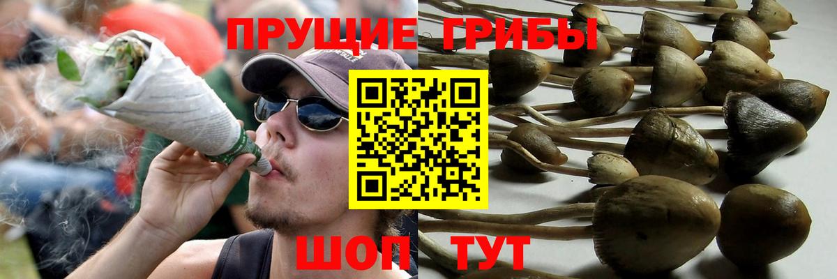 Галлюциногенные грибы Magic Shrooms Краснодар
